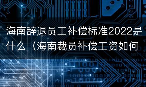 海南辞退员工补偿标准2022是什么（海南裁员补偿工资如何计算）