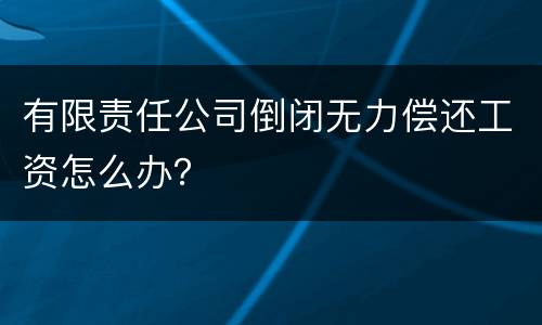 有限责任公司倒闭无力偿还工资怎么办？