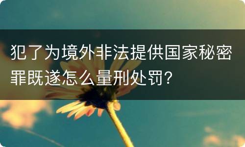 犯了为境外非法提供国家秘密罪既遂怎么量刑处罚？