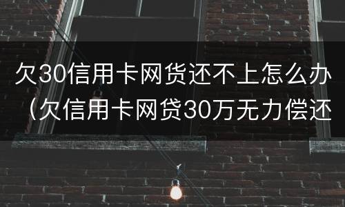 欠30信用卡网货还不上怎么办（欠信用卡网贷30万无力偿还怎么办）