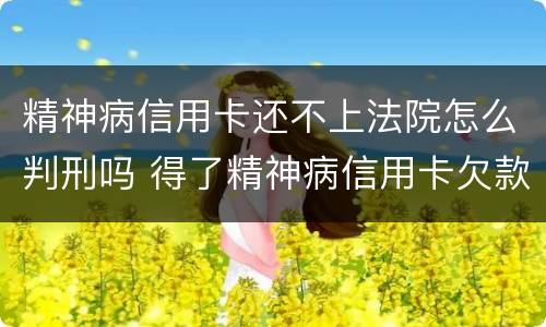 精神病信用卡还不上法院怎么判刑吗 得了精神病信用卡欠款用还吗