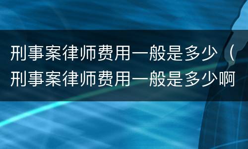 刑事案律师费用一般是多少（刑事案律师费用一般是多少啊）