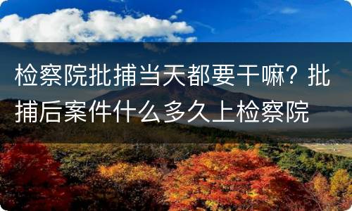 检察院批捕当天都要干嘛? 批捕后案件什么多久上检察院