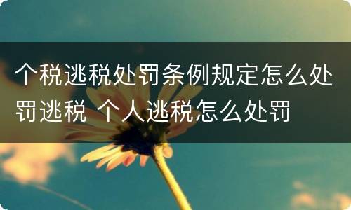 个税逃税处罚条例规定怎么处罚逃税 个人逃税怎么处罚