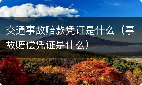交通事故赔款凭证是什么（事故赔偿凭证是什么）