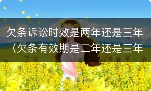 欠条诉讼时效是两年还是三年（欠条有效期是二年还是三年）