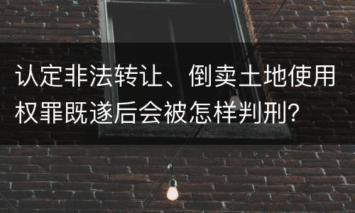 认定非法转让、倒卖土地使用权罪既遂后会被怎样判刑？