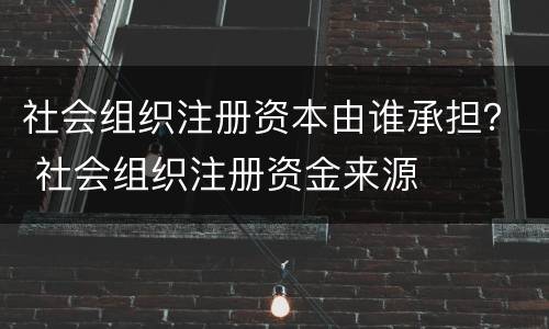 社会组织注册资本由谁承担？ 社会组织注册资金来源