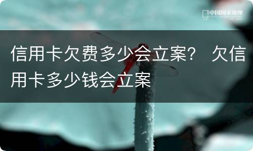 信用卡欠费多少会立案？ 欠信用卡多少钱会立案