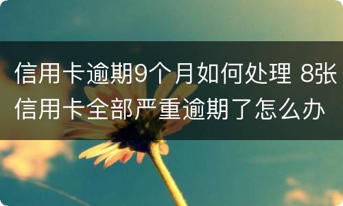 信用卡逾期9个月如何处理 8张信用卡全部严重逾期了怎么办