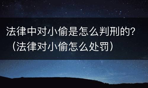 法律中对小偷是怎么判刑的？（法律对小偷怎么处罚）