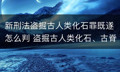 新刑法盗掘古人类化石罪既遂怎么判 盗掘古人类化石、古脊椎动物化石罪