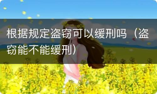 根据规定盗窃可以缓刑吗（盗窃能不能缓刑）