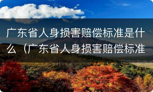 广东省人身损害赔偿标准是什么（广东省人身损害赔偿标准是什么时候实施）