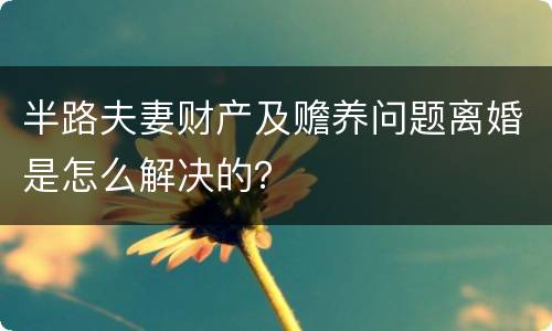 半路夫妻财产及赡养问题离婚是怎么解决的？