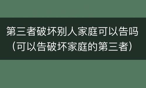 第三者破坏别人家庭可以告吗（可以告破坏家庭的第三者）