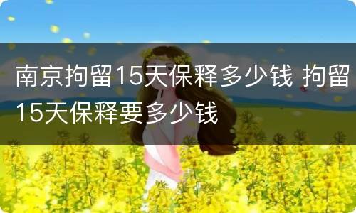 南京拘留15天保释多少钱 拘留15天保释要多少钱