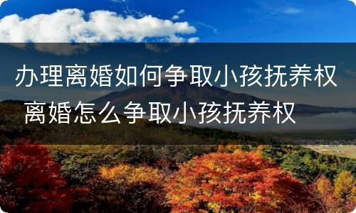 办理离婚如何争取小孩抚养权 离婚怎么争取小孩抚养权