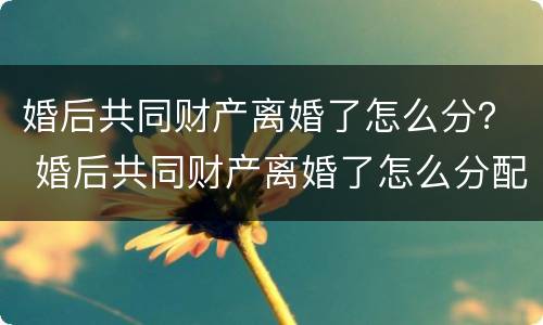 婚后共同财产离婚了怎么分？ 婚后共同财产离婚了怎么分配