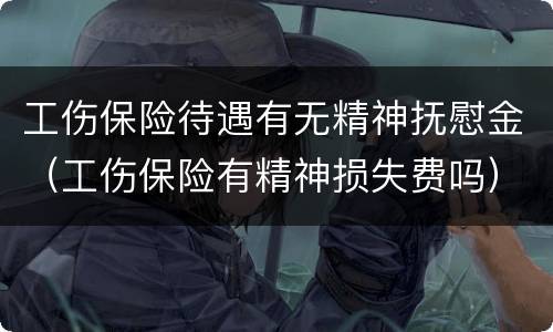 工伤保险待遇有无精神抚慰金（工伤保险有精神损失费吗）