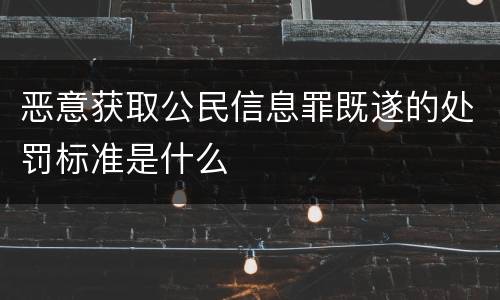 恶意获取公民信息罪既遂的处罚标准是什么
