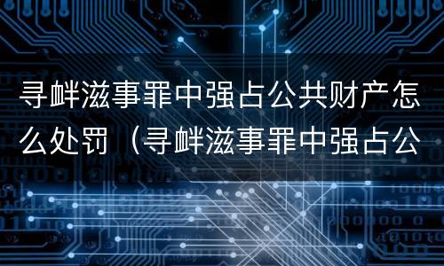 寻衅滋事罪中强占公共财产怎么处罚（寻衅滋事罪中强占公共财产怎么处罚的）