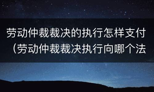 劳动仲裁裁决的执行怎样支付（劳动仲裁裁决执行向哪个法院申请）