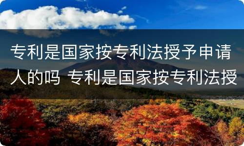 专利是国家按专利法授予申请人的吗 专利是国家按专利法授予申请人的吗