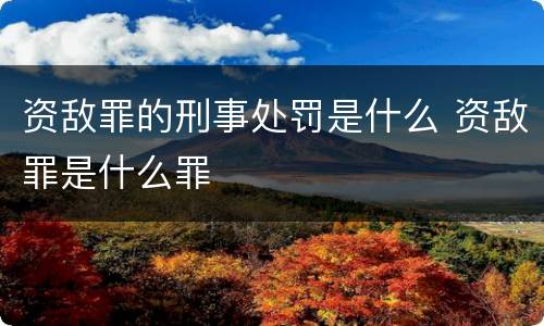 资敌罪的刑事处罚是什么 资敌罪是什么罪