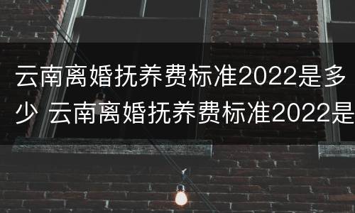 云南离婚抚养费标准2022是多少 云南离婚抚养费标准2022是多少呢
