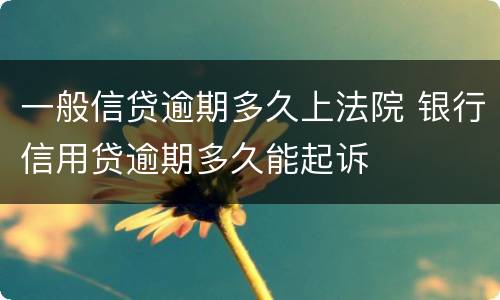 一般信贷逾期多久上法院 银行信用贷逾期多久能起诉