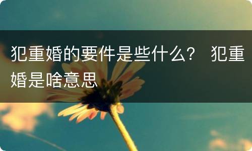 犯重婚的要件是些什么？ 犯重婚是啥意思