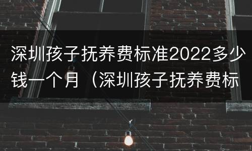 深圳孩子抚养费标准2022多少钱一个月（深圳孩子抚养费标准是多少）