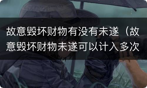 故意毁坏财物有没有未遂（故意毁坏财物未遂可以计入多次吗）