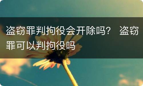盗窃罪判拘役会开除吗？ 盗窃罪可以判拘役吗
