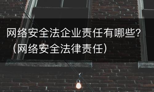 网络安全法企业责任有哪些？（网络安全法律责任）