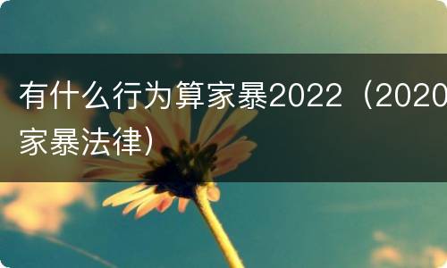 有什么行为算家暴2022（2020家暴法律）