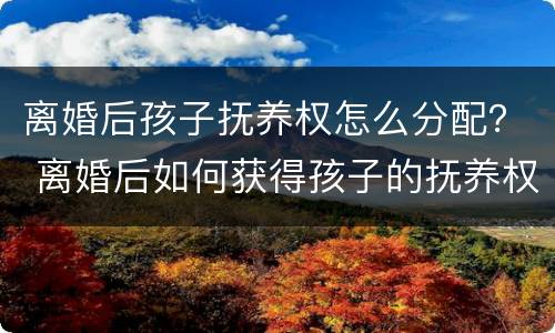 离婚后孩子抚养权怎么分配？ 离婚后如何获得孩子的抚养权