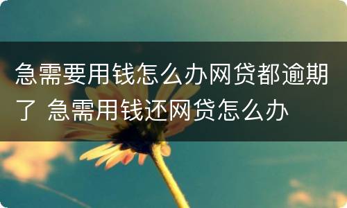 急需要用钱怎么办网贷都逾期了 急需用钱还网贷怎么办