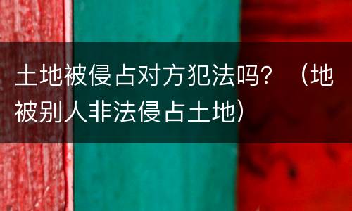 土地被侵占对方犯法吗？（地被别人非法侵占土地）