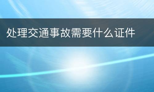 处理交通事故需要什么证件