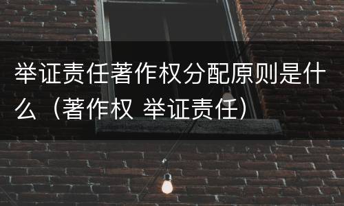 举证责任著作权分配原则是什么（著作权 举证责任）