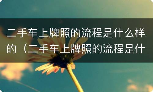 二手车上牌照的流程是什么样的（二手车上牌照的流程是什么样的呢）