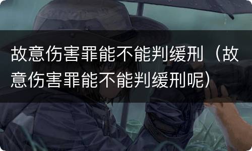 故意伤害罪能不能判缓刑（故意伤害罪能不能判缓刑呢）