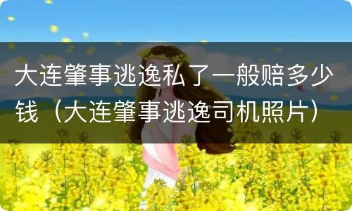 大连肇事逃逸私了一般赔多少钱（大连肇事逃逸司机照片）