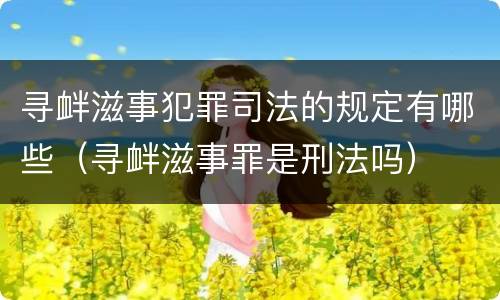 寻衅滋事犯罪司法的规定有哪些（寻衅滋事罪是刑法吗）