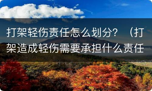 打架轻伤责任怎么划分？（打架造成轻伤需要承担什么责任）
