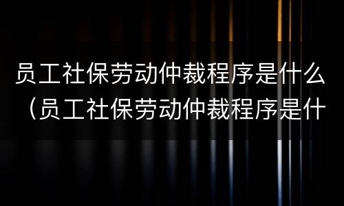 员工社保劳动仲裁程序是什么（员工社保劳动仲裁程序是什么意思）