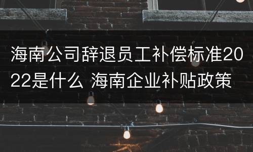 海南公司辞退员工补偿标准2022是什么 海南企业补贴政策