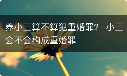 养小三算不算犯重婚罪？ 小三会不会构成重婚罪
